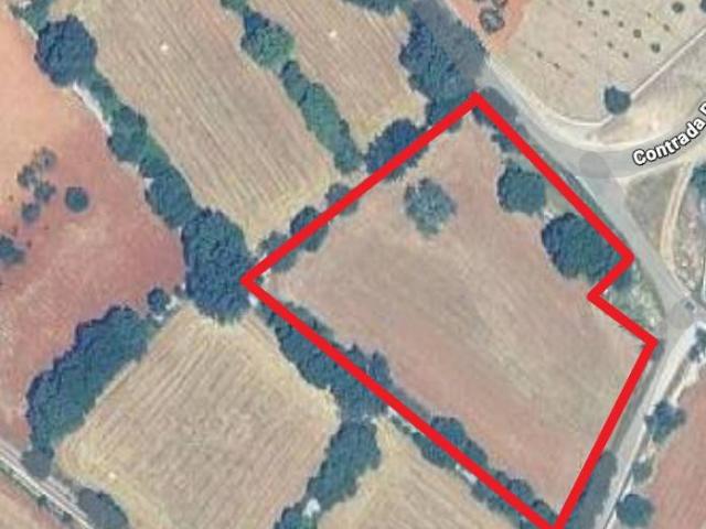 Terreno in vendita a Puglia, Bari