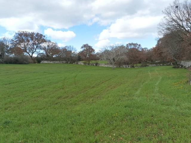 Terreno in vendita a Puglia, Bari
