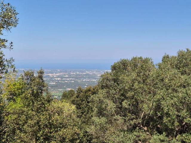 Terreno in vendita a Puglia, Bari