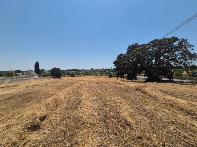 Terreno in vendita a Puglia, Bari