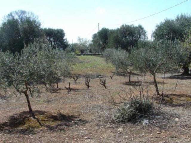 Terreno in vendita a Locorotondo, Bari