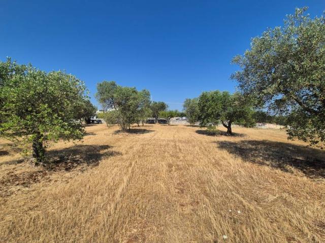 Terreno in vendita a Puglia, Bari