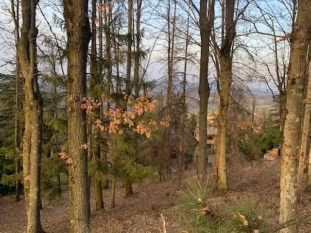 Terreno in vendita a Unione dei comuni Savena-Idice, Loiano
