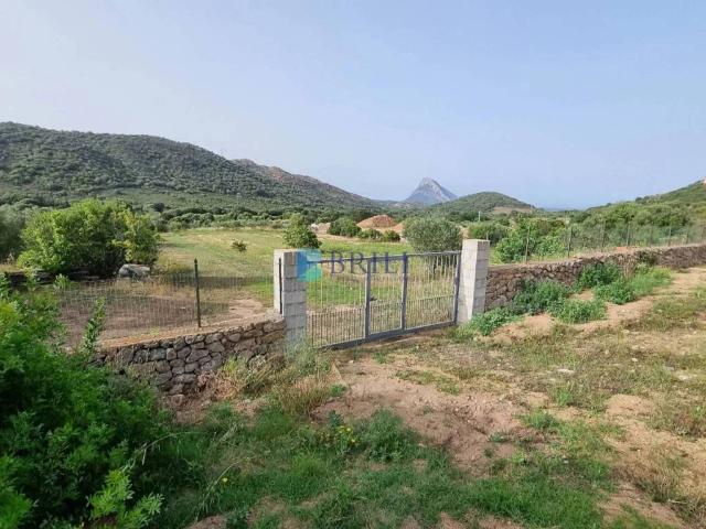 Terreno in vendita a Porto San Paolo, Sardigna/Sardegna
