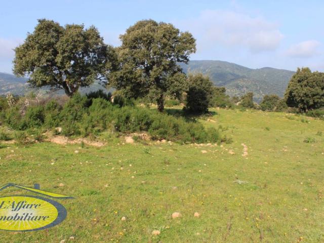 Terreno in vendita a Porto San Paolo, Sardigna/Sardegna