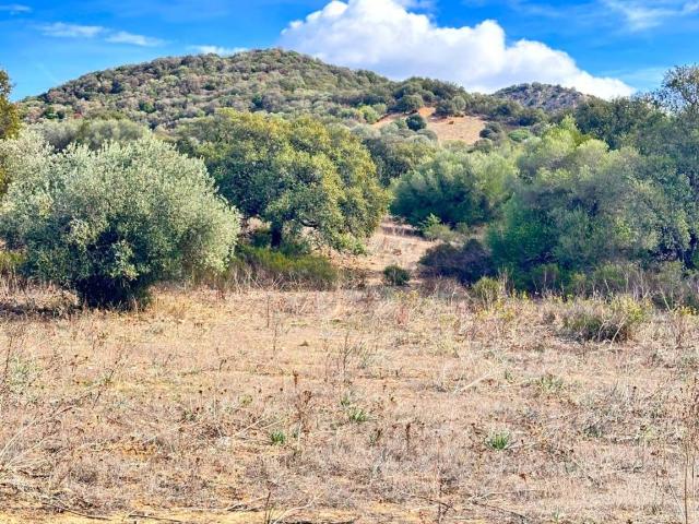 Terreno in vendita a Porto San Paolo, Sardigna/Sardegna