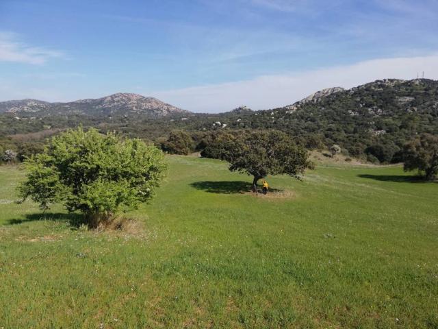 Terreno in vendita a Porto San Paolo, Sardigna/Sardegna