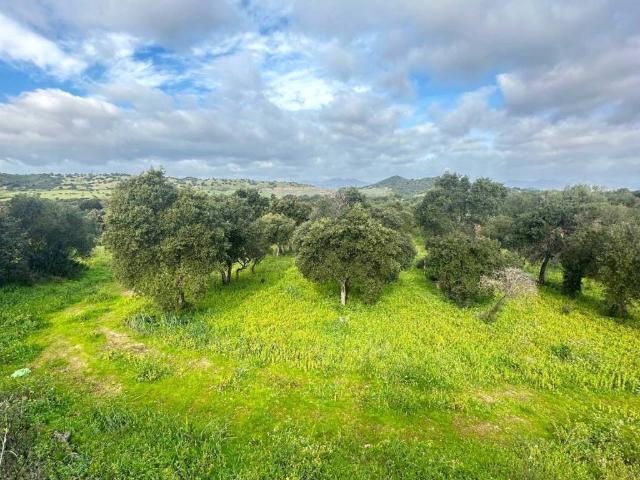Terreno in vendita a Porto San Paolo, Sardigna/Sardegna