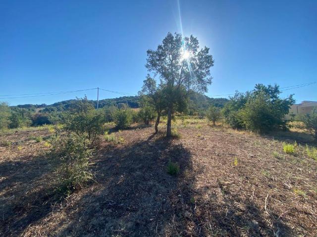 Terreno in vendita a Castagna, Porto San Paolo