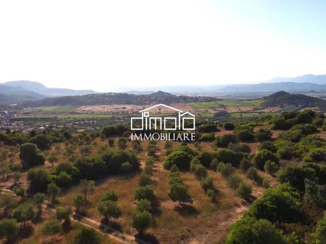 Terreno in vendita a Porto San Paolo, Sardigna/Sardegna