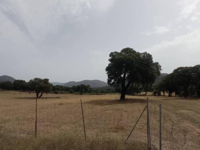 Terreno in vendita a Andria Puddu, Porto San Paolo