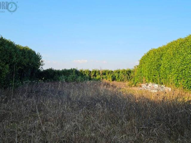 Terreno in vendita a Lomazzo, Lombardia