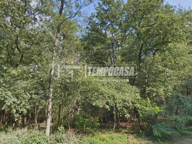 Terreno in vendita a Lonate Pozzolo, Varese