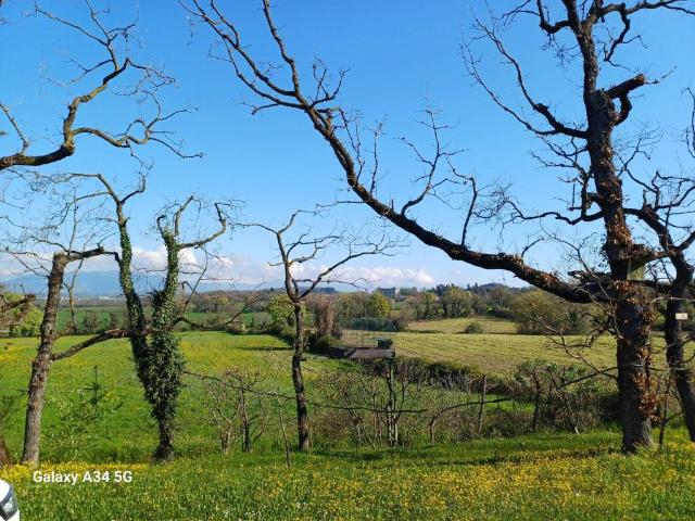 Terreno in vendita a Lonato, Lombardia