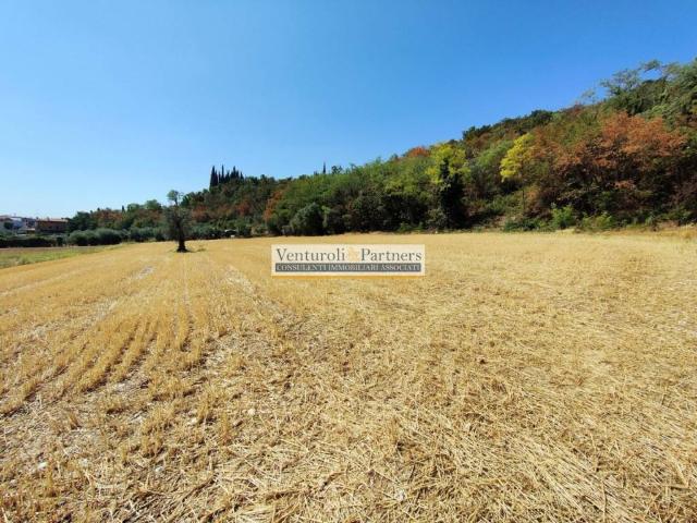 Terreno in vendita a Lonato, Lombardia