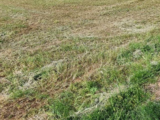 Terreno in vendita a Campagna, Lonato