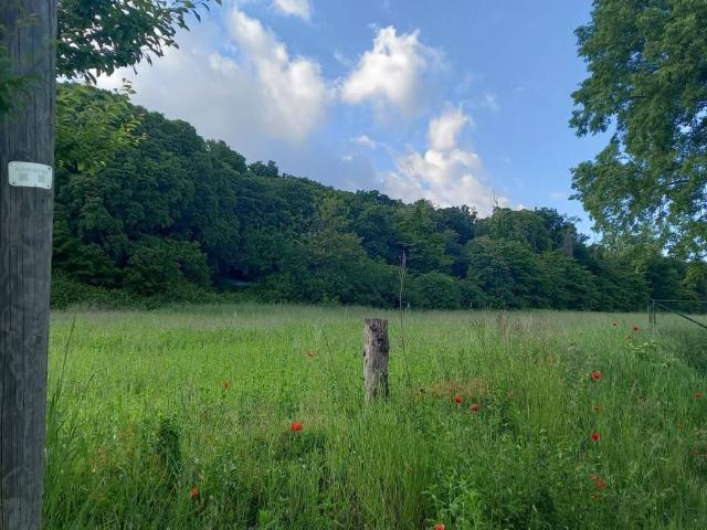Terreno in vendita a Lonato, Brescia