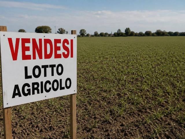 Terreno in vendita a Calcinato, Lombardia