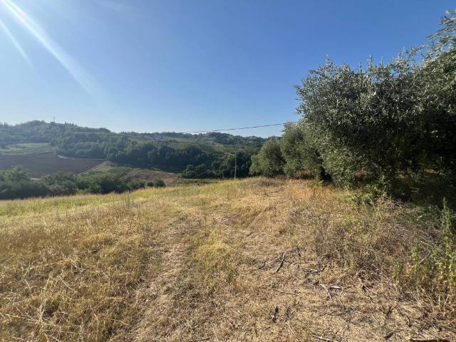 Terreno in vendita a Longiano, Reggio Emilia