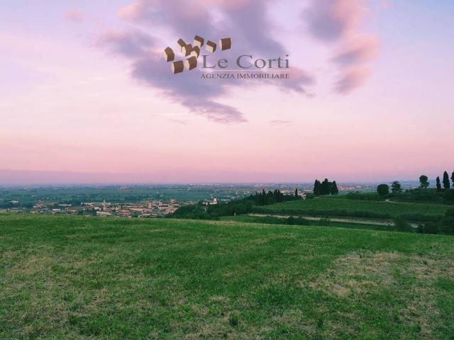Terreno in vendita a Lonigo, Vicenza