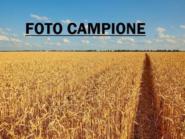 Terreno in vendita a Lonigo, Vicenza