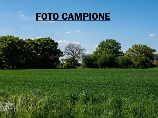 Terreno in vendita a Lonigo, Veneto