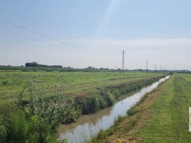 Terreno in vendita a Loreo, Veneto