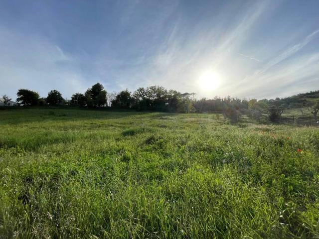Terreno in vendita a Marche, Ancona