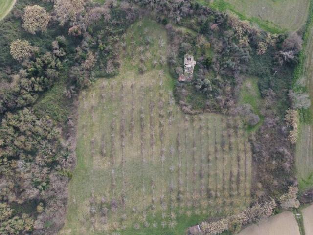 Terreno in vendita a Marche, Ancona