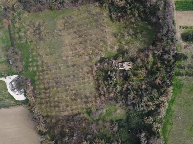 Terreno in vendita a Marche, Ancona