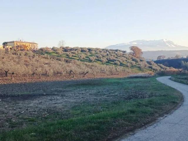 Terreno in vendita a Loreto Aprutino, Abruzzo