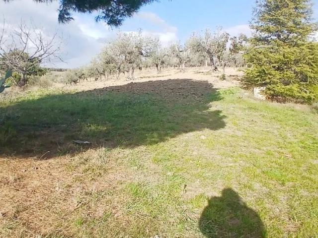 Terreno in vendita a Loreto Aprutino, Abruzzo