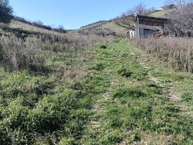 Terreno in vendita a Loreto Aprutino, Abruzzo