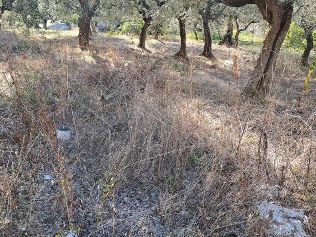 Terreno in vendita a Loreto Aprutino, Abruzzo