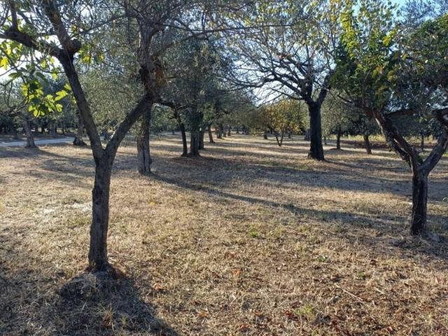 Terreno in vendita a Loreto Aprutino, Pescara