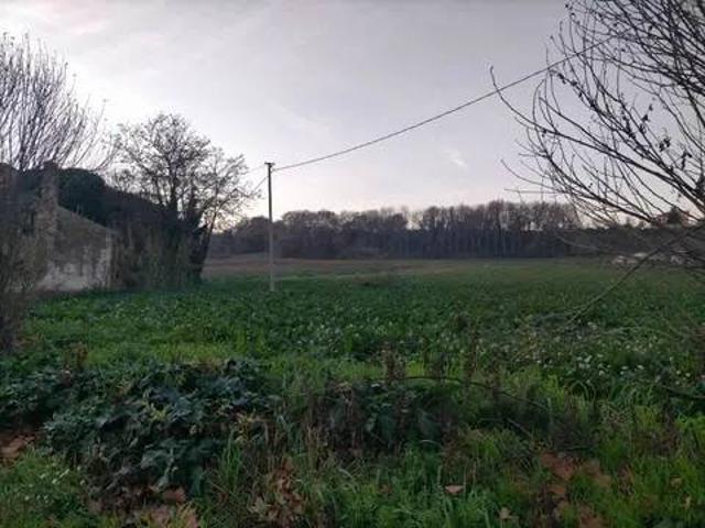 Terreno in vendita a Loreto Aprutino, Abruzzo