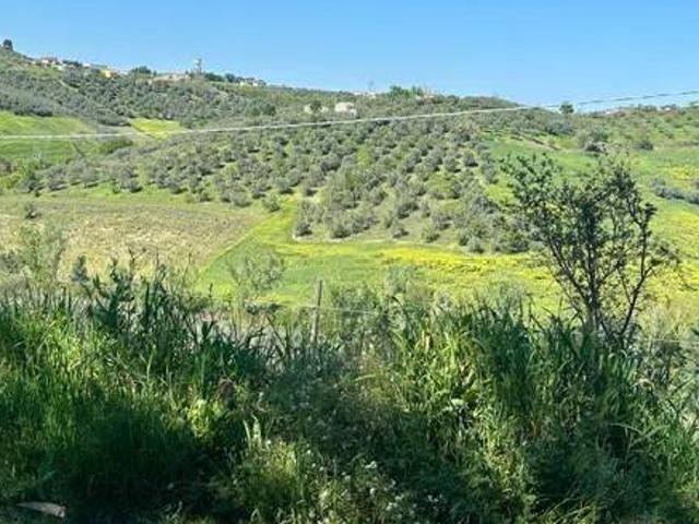 Terreno in vendita a Loreto Aprutino, Abruzzo