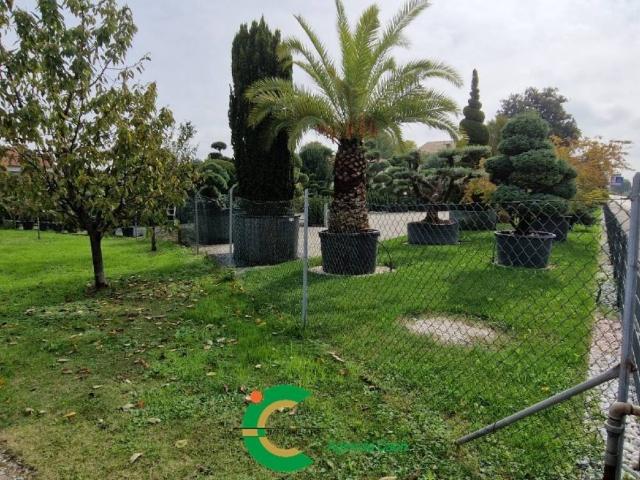 Terreno in vendita a Fonte, Loria