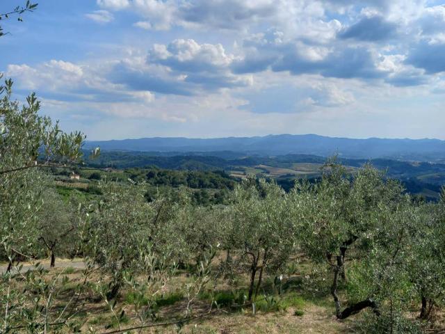 Terreno in vendita a Loro Ciuffenna, Toscana