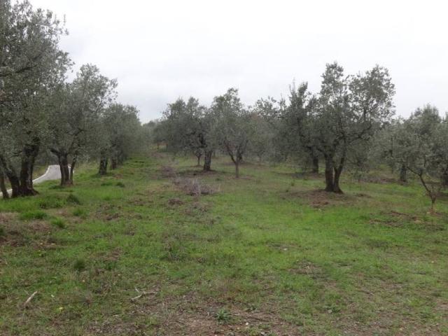 Terreno in vendita a Cappella, Bagni Di Lucca Ponte