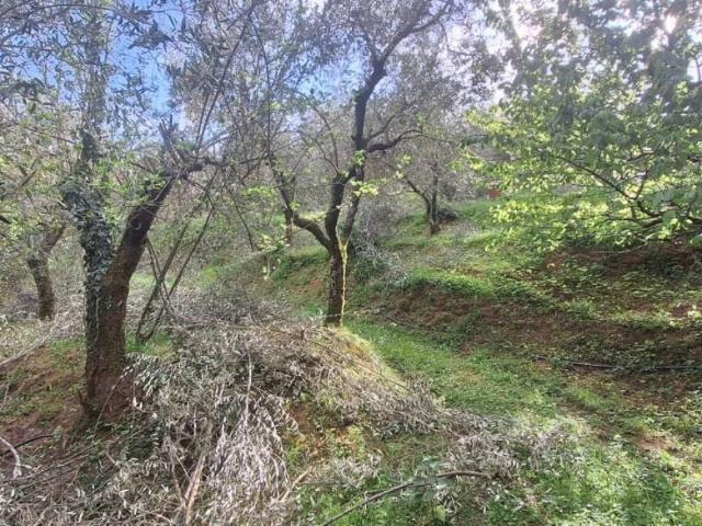 Terreno in vendita a Bagni Di Lucca Ponte, Toscana