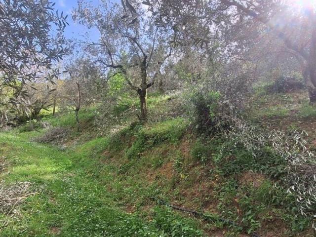 Terreno in vendita a Bagni Di Lucca Ponte, Toscana