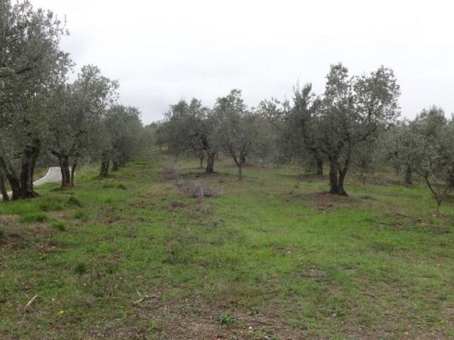 Terreno in vendita a Bagni Di Lucca Ponte, Lucca