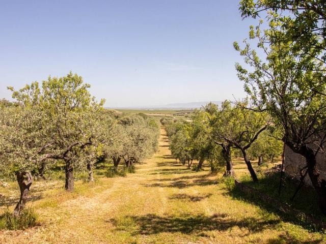 Terreno in vendita a Puglia, Foggia