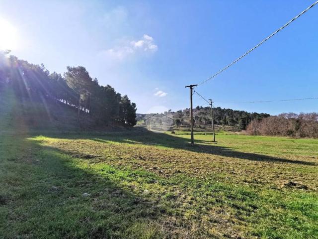 Terreno in vendita a Puglia, Foggia