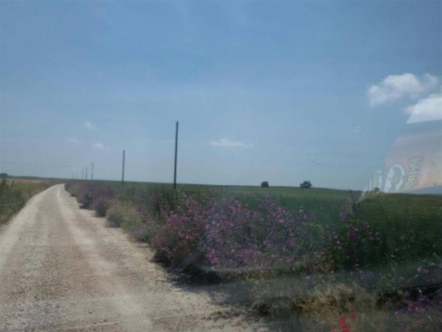Terreno in vendita a Puglia, Foggia