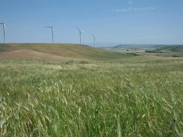 Terreno in vendita a Puglia, Foggia