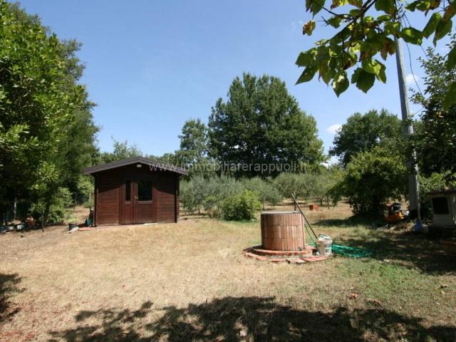 Terreno in vendita a Lucignano, Toscana