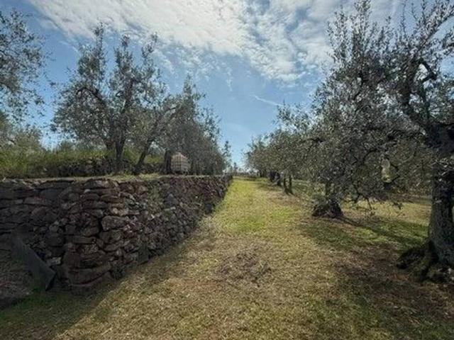 Terreno in vendita a Santa Maria, Lucignano