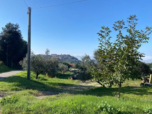 Terreno in vendita a Lugnano In Teverina, Umbria